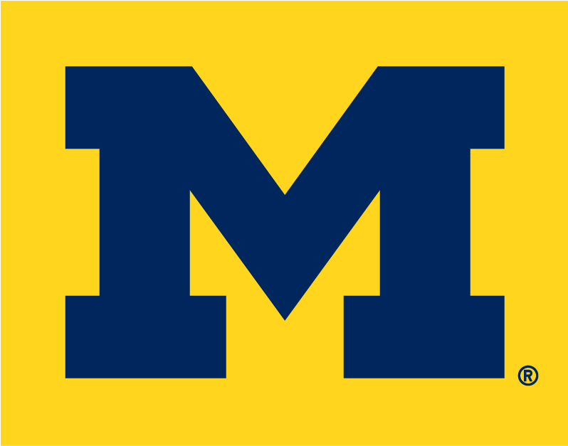 Michigan Wolverines 1996-Pres Alternate Logo v4 iron on transfers for T-shirts